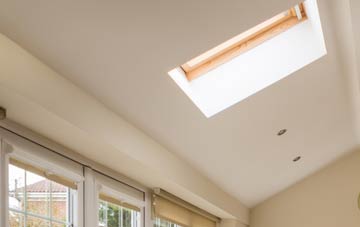 Ileden conservatory roof insulation companies