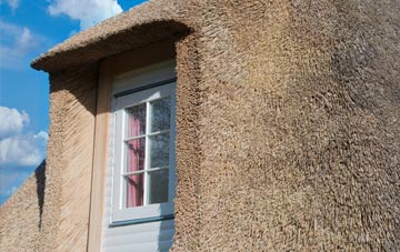 Ileden thatch roof disadvantages